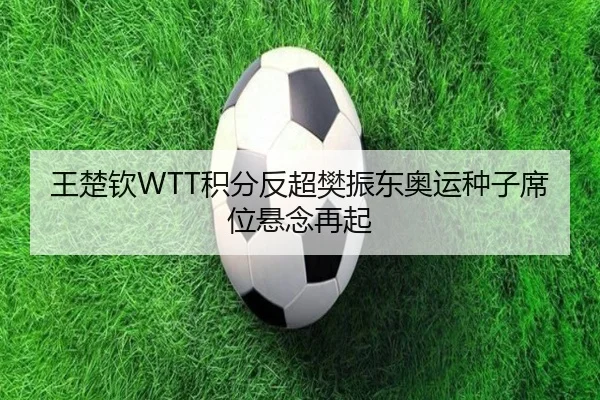 王楚钦WTT积分反超樊振东奥运种子席位悬念再起